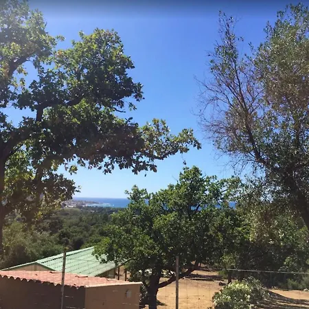 Vakantiehuis Bungalow De 2 Chambres A Corbara Avec Magnifique Vue Sur La Mer Jardin Amenage Et Wifi