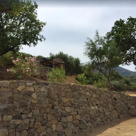 Bungalow De 2 Chambres A Corbara Avec Magnifique Vue Sur La Mer Jardin Amenage Et Wifi Casa vacanze Corbara
